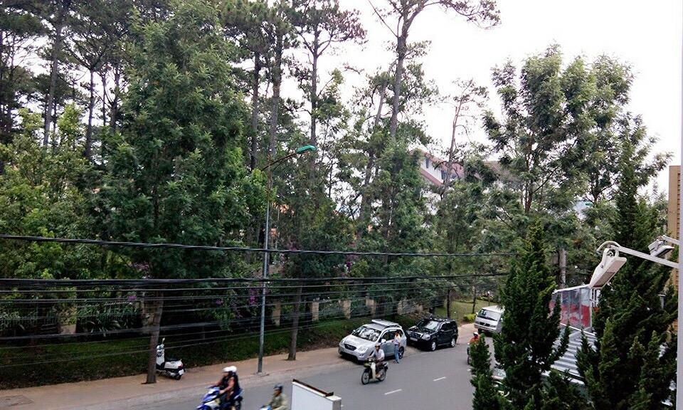 Trang Thanh 2 Guest House ダラット エクステリア 写真